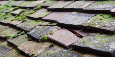 Frampton On Severn roof repair costs
